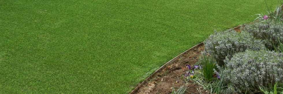 Luxury artificial grass