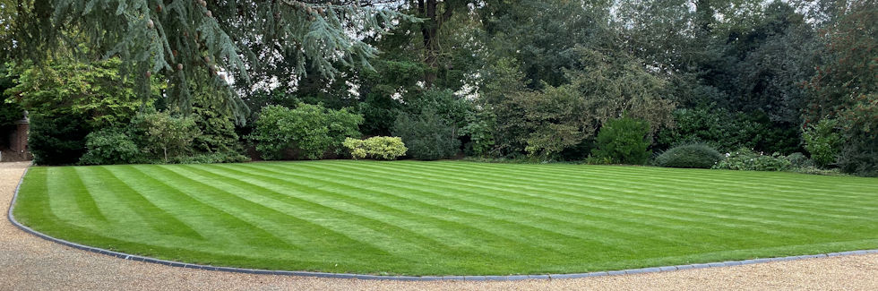 Luxury artificial grass