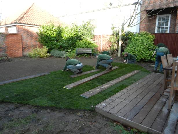 Case Study - Back garden design with new turfing being laid
