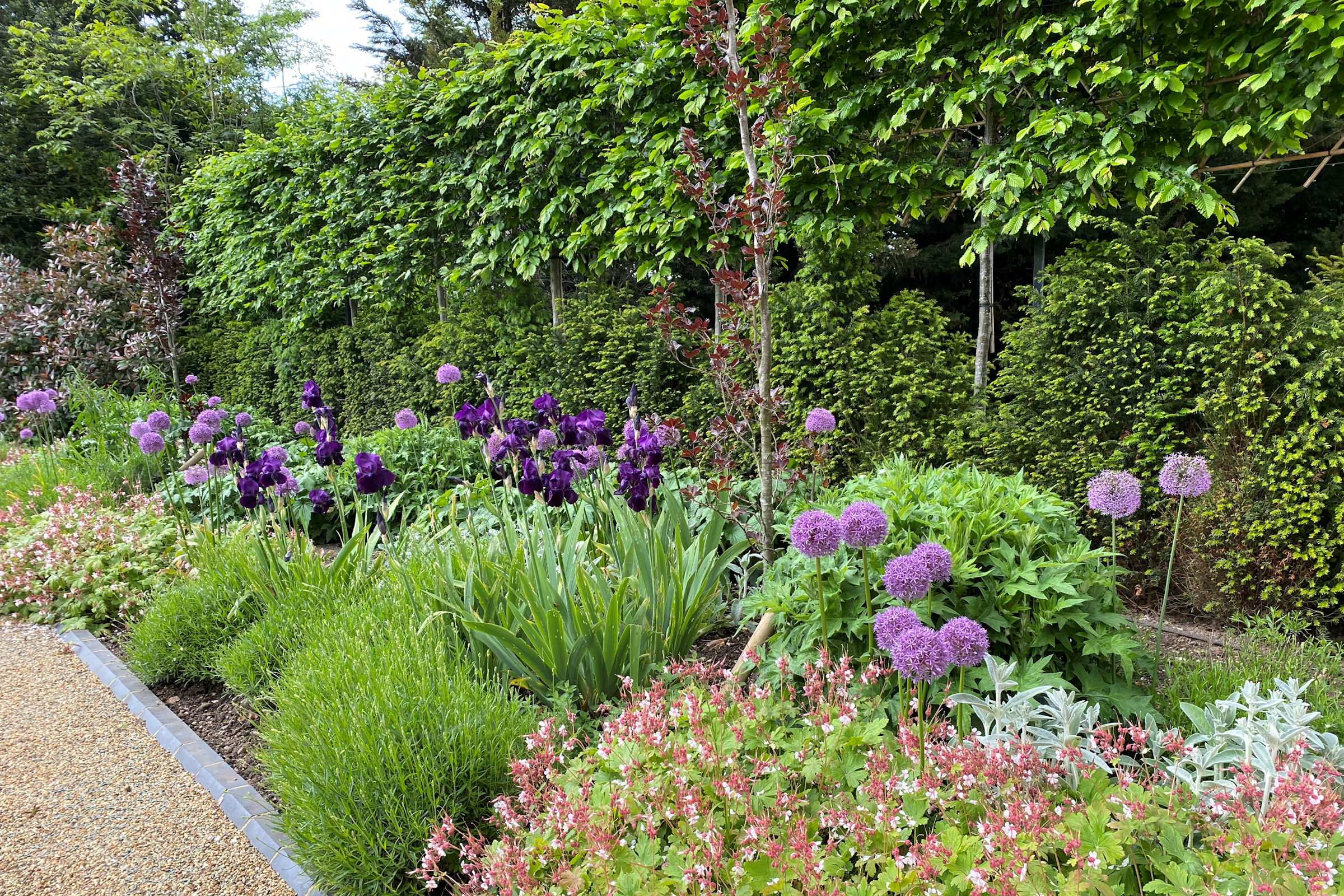 Planted Borders Background Image