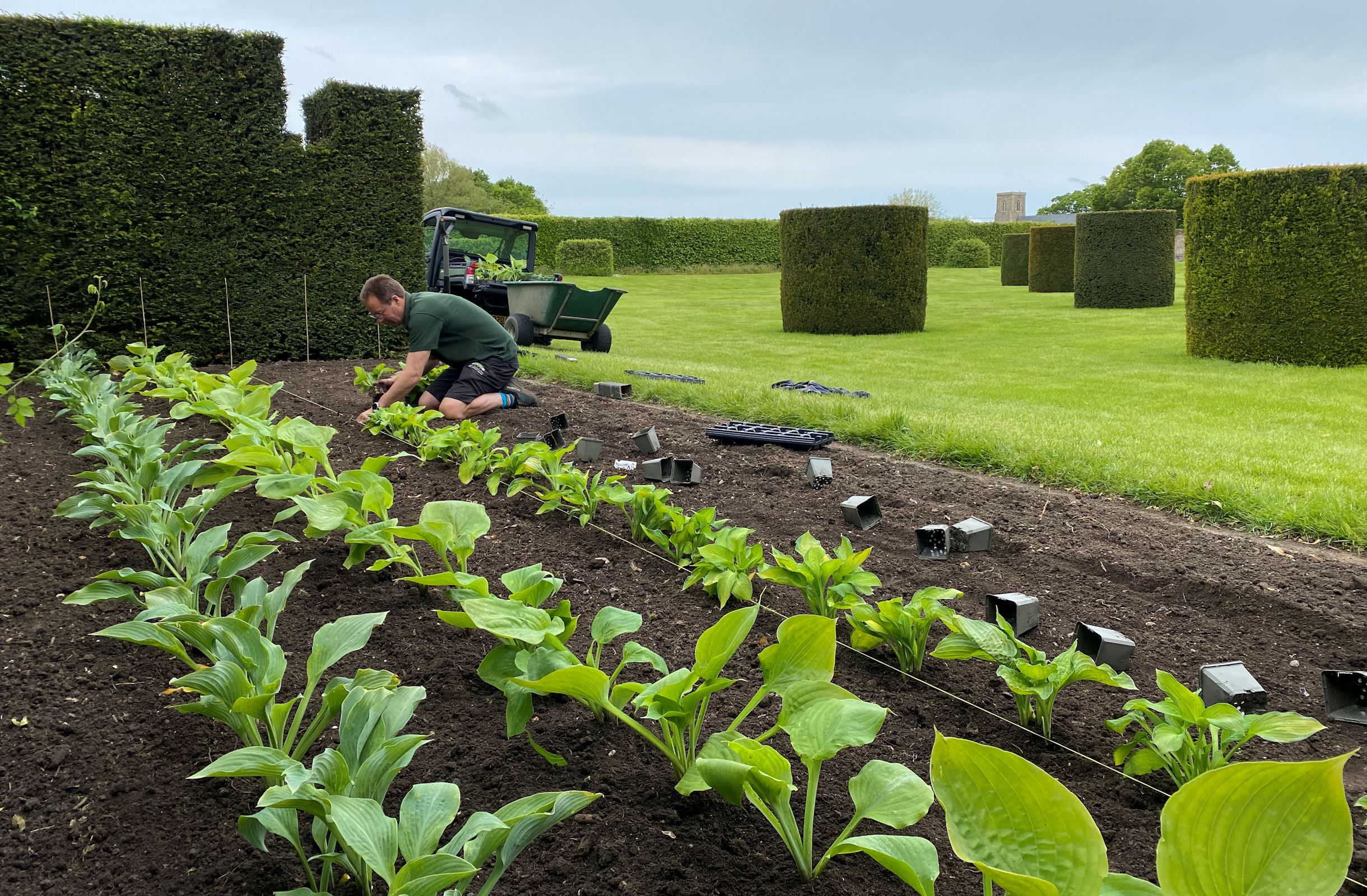 Garden Beds Planting Background Image
