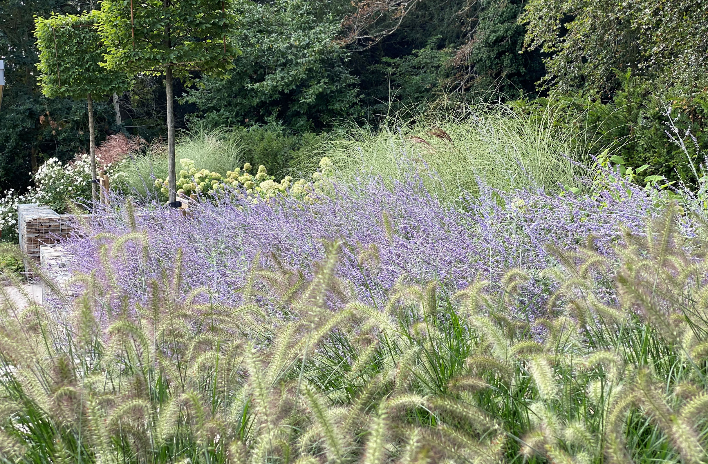 Garden Beds Planting Background Image