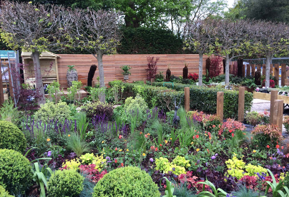 Planting to give a sea of Colour