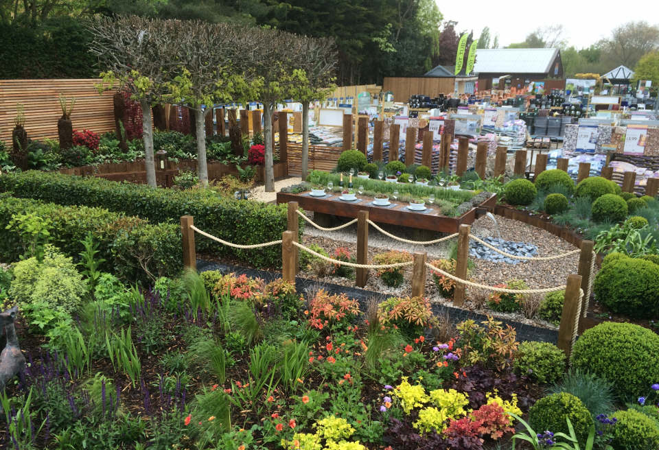 Semi Mature Trees Giving instant height to the garden space