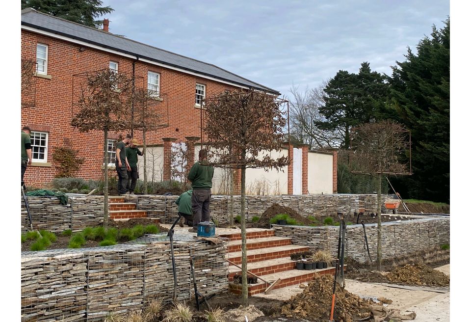 Terraced Pool Garden - Planting the Semi Mature Trees
