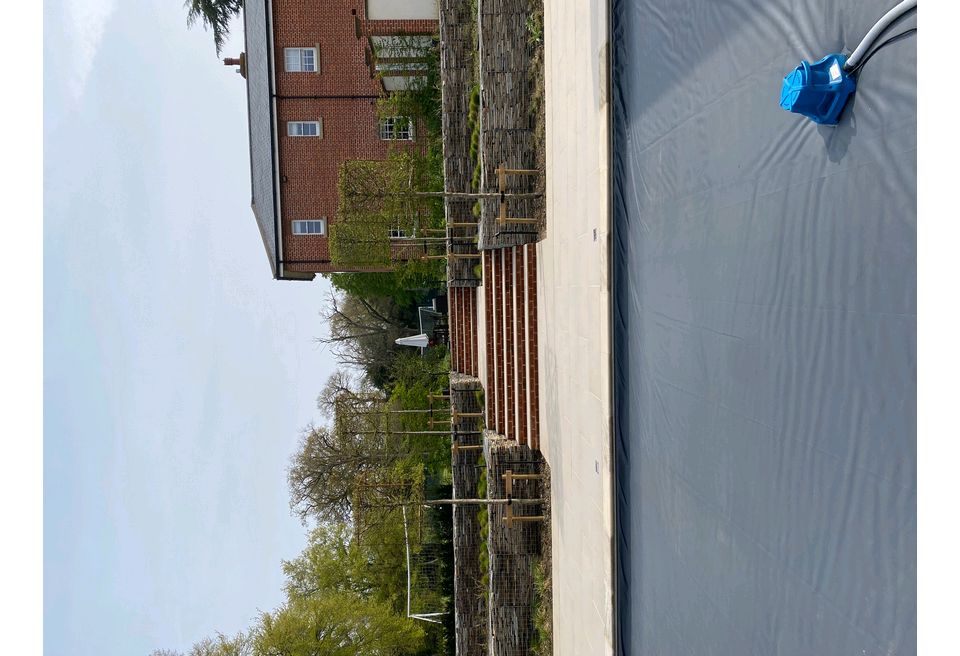 Terraced Pool Garden - Box Trees frame the walkway