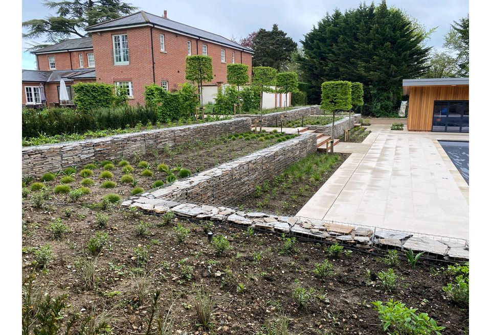 Terraced Pool Garden - The new Planting Scheme