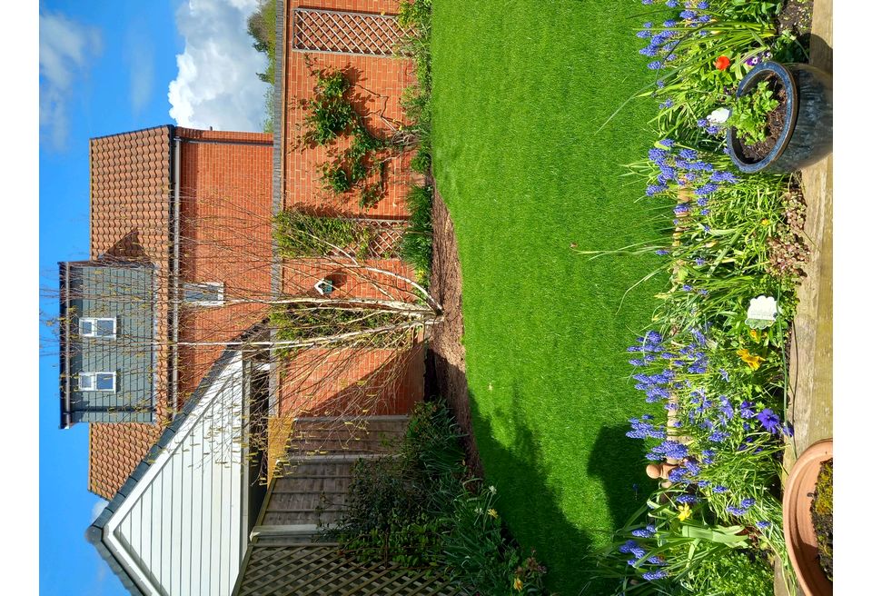 Tree Screening - the lawn borders were altered and new turf laid
